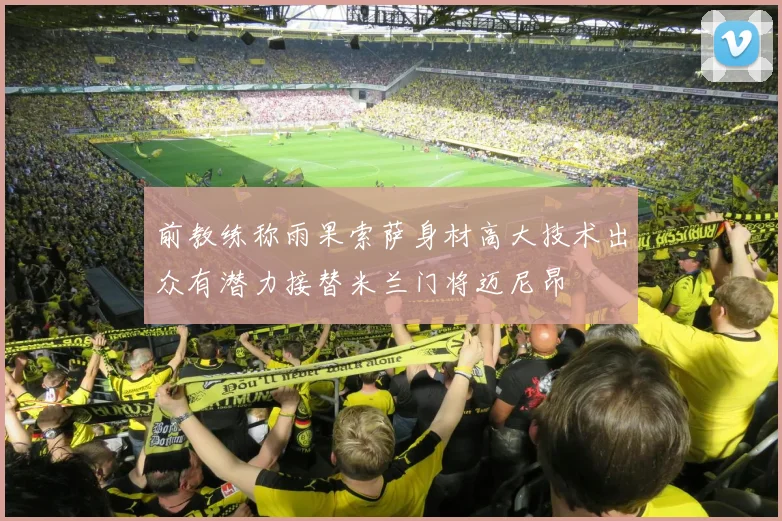 前教练称雨果索萨身材高大技术出众有潜力接替米兰门将迈尼昂