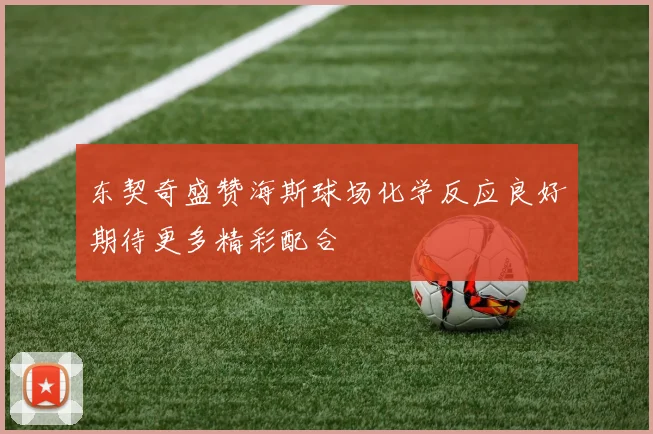 东契奇盛赞海斯球场化学反应良好期待更多精彩配合